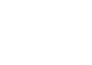 Diriliş Akademi